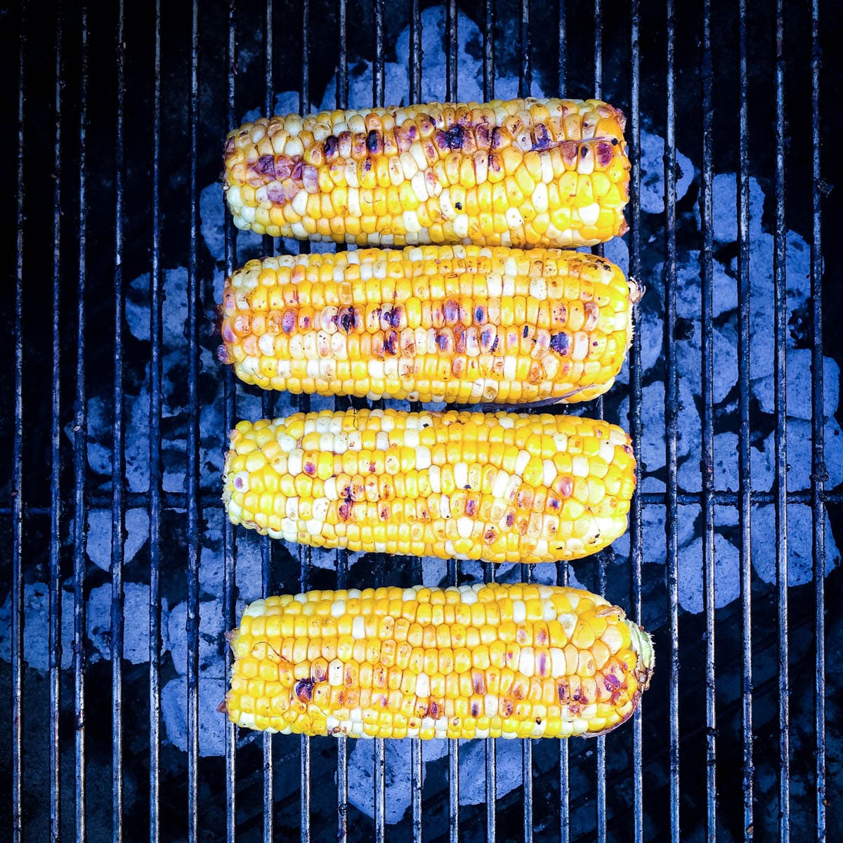 Four ears of corn grilling on a charcoal grill.